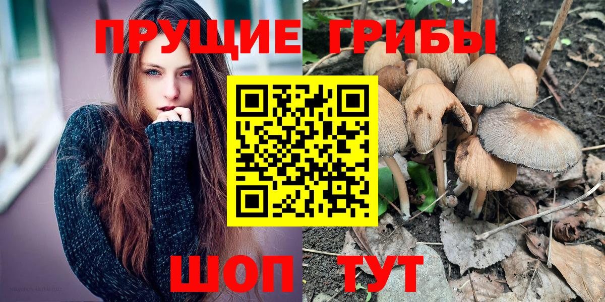 Каменка  Псилоцибиновые грибы Psilocybine cubensis  Псилоцибиновые грибы Psilocybine cubensis  Вход с VPN 